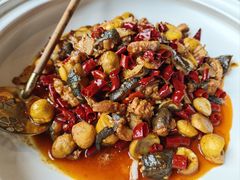 -印象鲵宴·张家界地标美食名片(溪布街店)