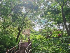-大岭沟猕猴桃谷风景区