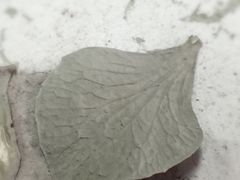 iphone_upload_pic-情侣·团建·手作工坊(虹桥汇金百货店)