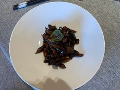 -绿波廊(豫园店)