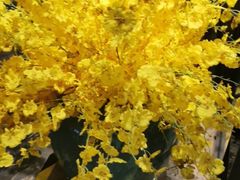 -大鸭梨烤鸭(枣园店)