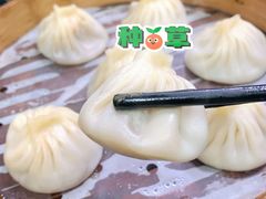 鲜肉小汤包-食惠里小笼包面馆(越秀店)