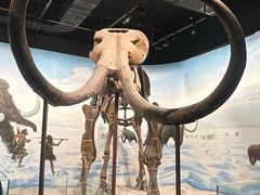 -辽宁古生物博物馆