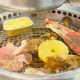 打工人的福音🔥火炉火高性价比工作日午市套餐