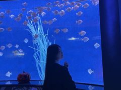 -沈阳海洋探索中心