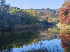 -国家植物园南园