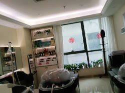 -碧莲盛·不剃发植发