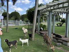 -东南花都花博园