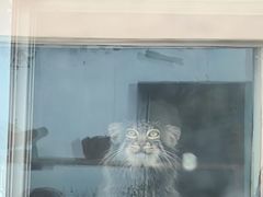 -青藏高原野生动物园