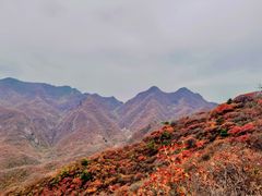 -水峪民俗村