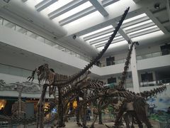 -中国地质大学逸夫博物馆