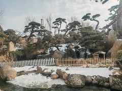 -罗红摄影艺术馆