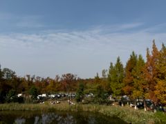 -白鹭湾湿地公园