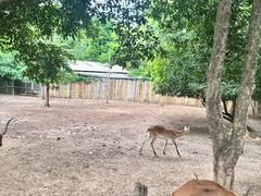 -清迈夜间动物园