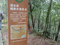 -滴水岩森林公园