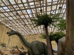 -国家自然博物馆