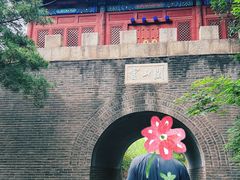 -云岗森林公园