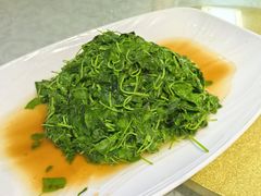 -阿巧一号私房菜(止园路店)