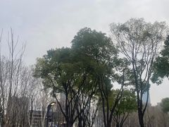 -后襄河公园