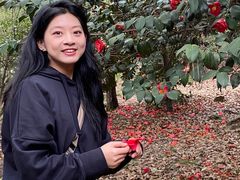 -兴福老面馆(寺路街店)