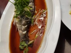 -桃子餐厅·天津菜(红星路直营店)