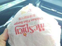 -麦当劳(玉桥中路店)