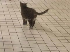 -ID.PHOTO照相馆(嘉里企业中心店)