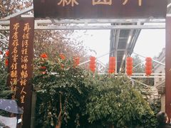 -月圆霖特色农家乐