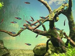 -沈阳海洋探索中心