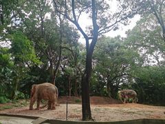 -深圳野生动物园