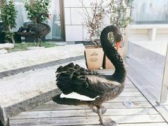 -行者书屋大堂吧 ·下午茶(南京圣和府邸酒店)