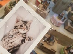 -猫的天空之城概念书店(杭州南宋御街店)