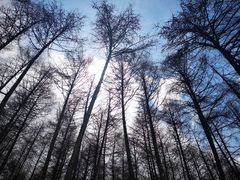 -硗碛藏寨·神木垒景区