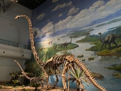 -自贡恐龙博物馆