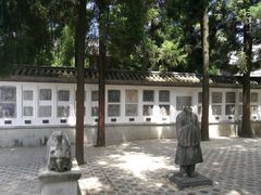 -总统兵马大元帅府