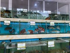 水产区-秋姐美食店(旅游大道店)