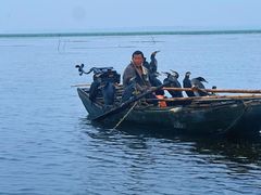 -滕州微山湖红荷湿地景区