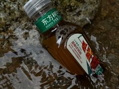 -炎陵县神农谷国家森林公园