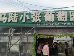 -马陆小张葡萄园农家乐