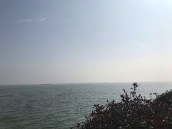 点击看大图 -水八仙生态园