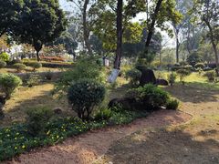 -东莞植物园