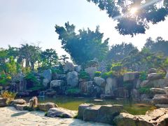 -东莞植物园