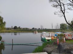 -径山花海