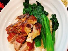 油鸡烧鸭饭-香港新曜记茶餐厅(万泰城店)