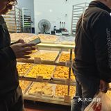 海珠堑口春节前夜晚奇观！排队6小时只为花生酥