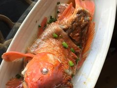 婺源第一楼-婺源第一楼(朱子大道店)