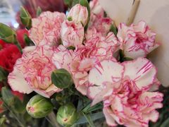 -茶马花街(城西银泰城店)