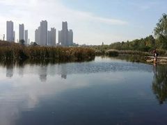 -前关湿地公园