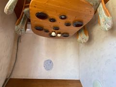 -金山农民画村-枫泾波兰倒置屋