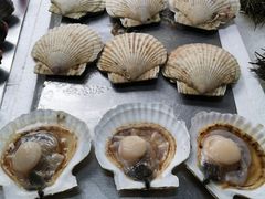 -蚝专家(北滘店)